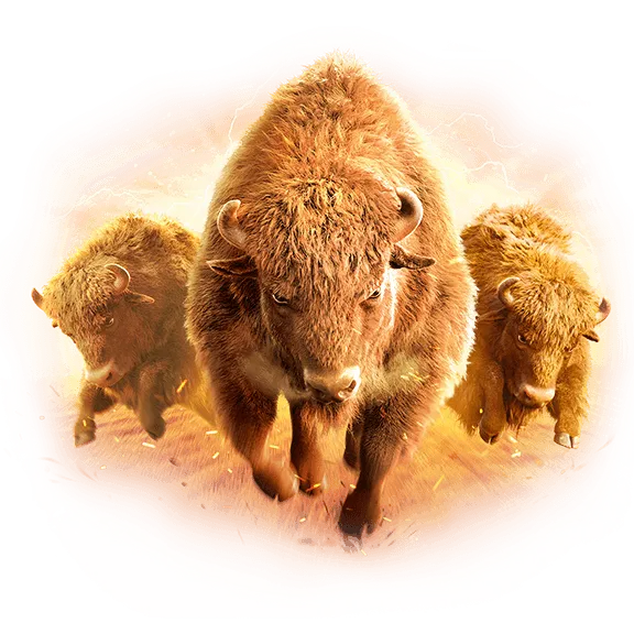 ธีมเกมควายป่า Buffalo Win ในทุ่งหญ้า ภาพสวยสมจริงจาก PG SLOT
