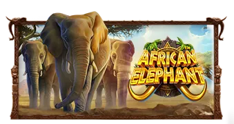 African Elephant Pragmatic Play แตกดี เล่นสล็อต PGSLOT ได้ยังไง