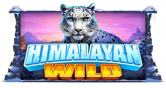 Himalayan Wild Pragmatic Play แตกดี เล่นสล็อต PGSLOT ได้ยังไง