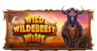 WILD WILDEBEEST WINS Pragmatic Play แตกดี เล่นสล็อต PGSLOT ได้ยังไง