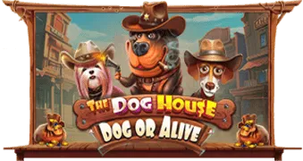 The Dog House – Dog or Alive ทดลองเล่นสล็อต PPSLOT เว็บตรง PGSLOT69